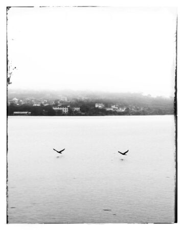 Snapseed Noir